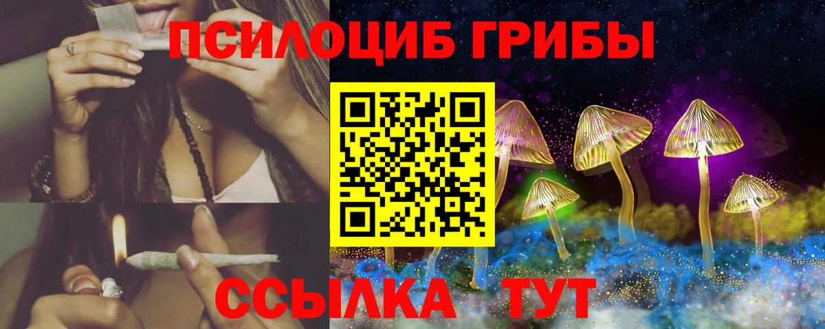 Псилоцибиновые грибы мухоморы Тимашёвск