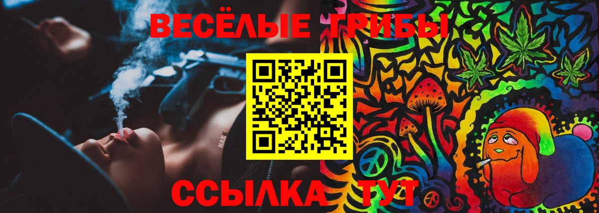 Галлюциногенные грибы мухоморы  Вход с VPN  Тимашёвск 